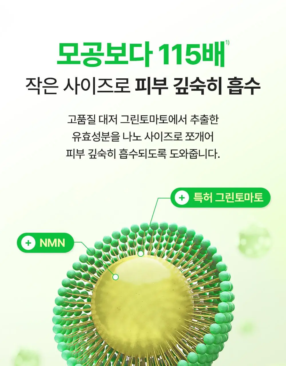 [7월올영픽/곰돌이푸콜라보] 성분에디터 그린토마토 NMN 포어 리프팅 앰플 40ml 더블 기획 (+히퍼 랜덤 1종) 상세페이지 35